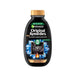 Shampoo Equilibrante al Carbone Magnetico - Garnier : 250 ml - 1