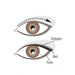 Eyeliner Trio - Strisce luccicanti Occhio personalizzato - Physicians Formula - 2