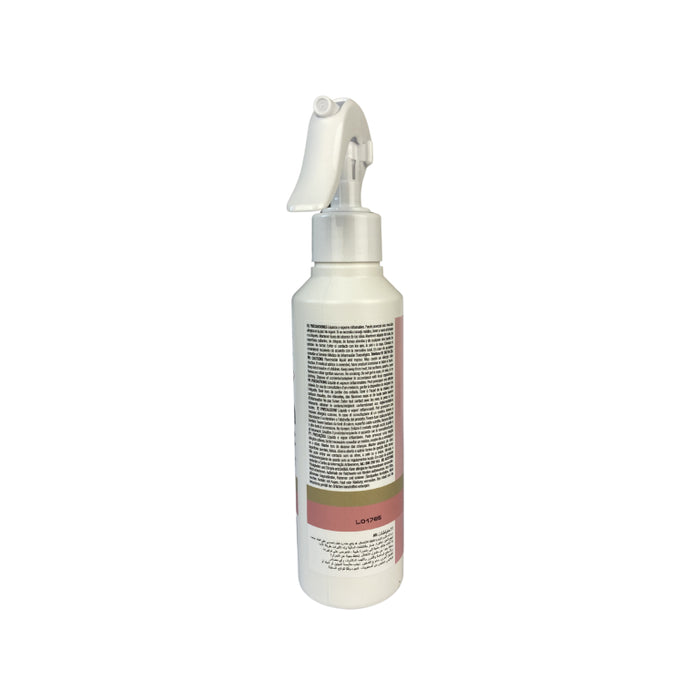 Profumo per interni in bomboletta spray - Prady : Oh My Bag! - 2