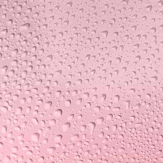 Secretplay Pretty but Wild Neblina Corporale Rinfrescante 100 ml - Secret Play - 3