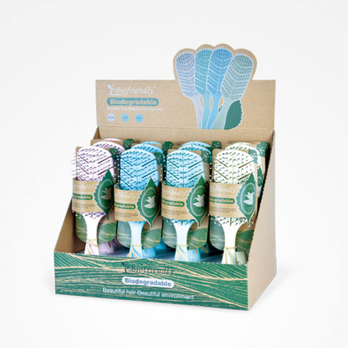 Espositore Spazzole Scheletro Biodegradabili Biofriendly 12 Unità - Bifull - 1