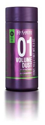 Volume Polvere Opacizzante 10 gr - Salerm - 1