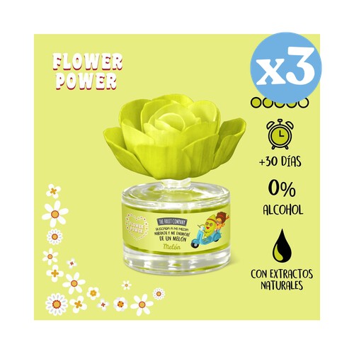 Confezione 3x - Fiore Profumato Melone - The Fruit Company - The Fruit Company - 2