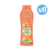 Confezione 6x - Gel Doccia Tulipano Nero Mandarino & Lima 650 ml - Tulipan Negro - 1
