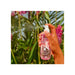 Brazilian Crush Cheirosa 68 Bruma Corporea 90ml - Sol de Janeiro - 3
