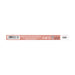 Epic Lip Liner - Perfilador - 1 unidad - Nam : nr 6 - 2