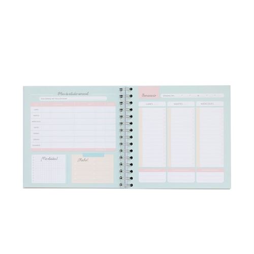 Pianificatore di studio &quot;Il mio piano generale affinché questo corso vada alla grande&quot; - Mr. Wonderful - 8