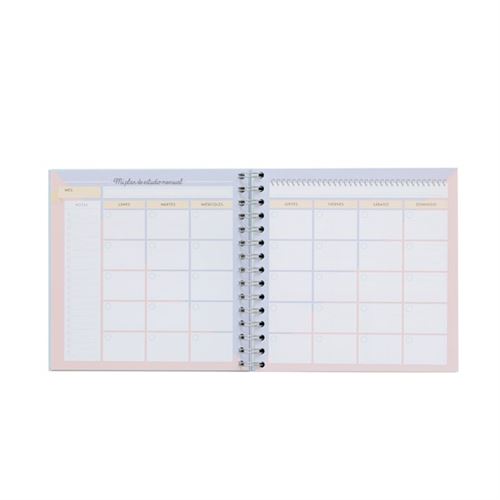 Pianificatore di studio &quot;Il mio piano generale affinché questo corso vada alla grande&quot; - Mr. Wonderful - 9