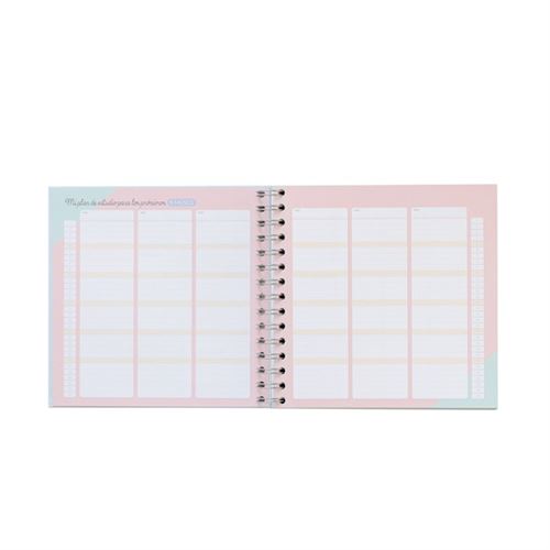 Pianificatore di studio &quot;Il mio piano generale affinché questo corso vada alla grande&quot; - Mr. Wonderful - 12